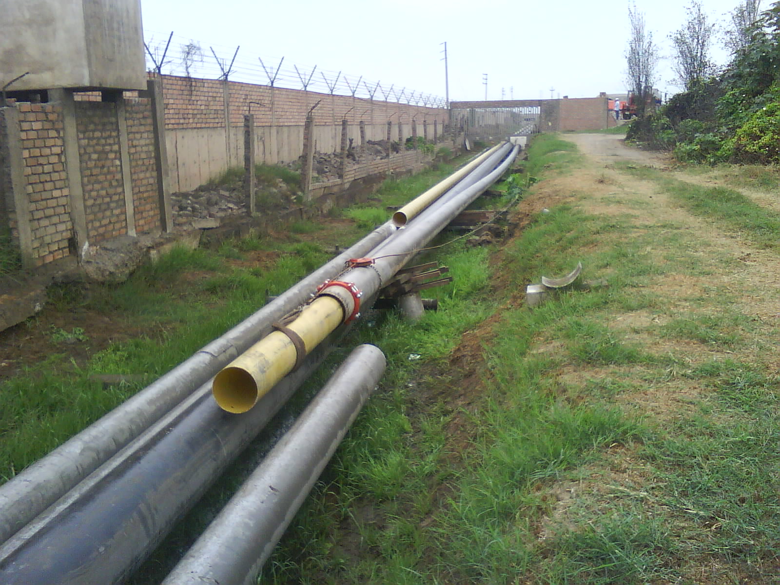 In-Situ Rejuvenation Process